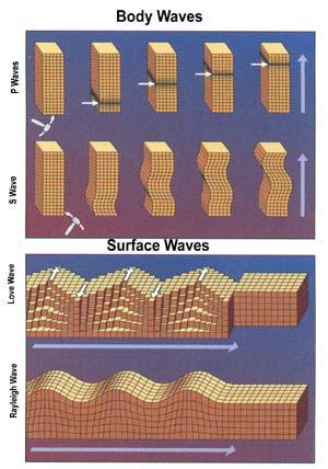 Measuring Earthquakes Earthquakes produce two main types of These are waves that move through the Earth's seismic waves - surface and body waves. interior.