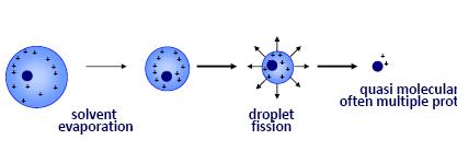 17 ESI (Electrospray Ionization) at needle mm-sized droplets are formed