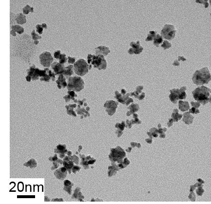 nanoparticles, or Ir-Ni bimetallic nanoparticles