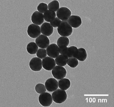 Gold and silver nanoparticle benchmark materials Well controlled size and shape Colorimetric aggregation