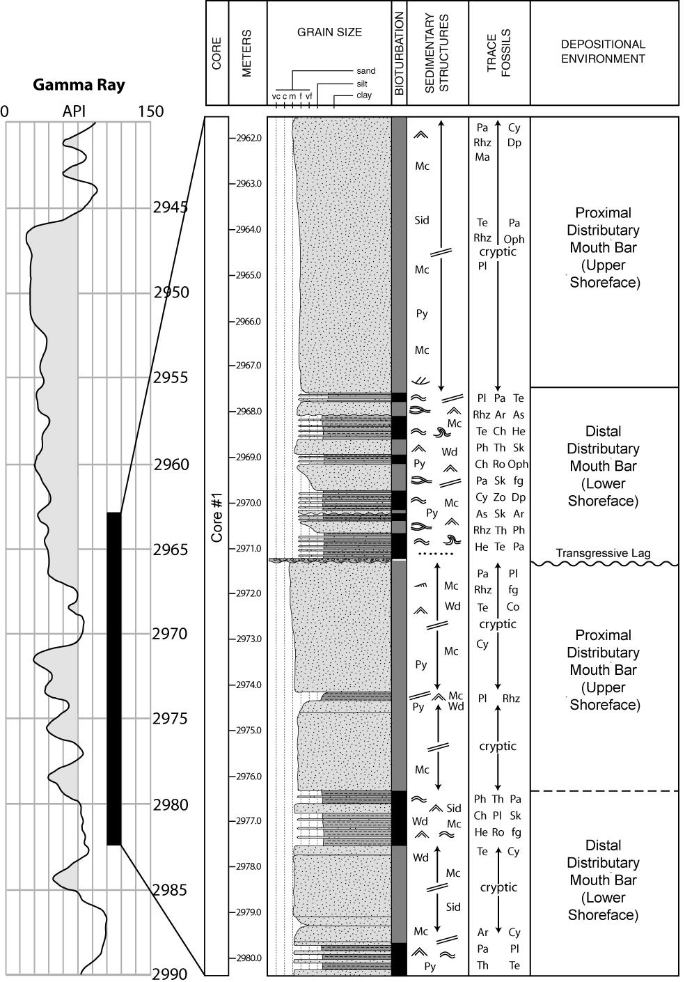Fig. 3: Detailed core log of the