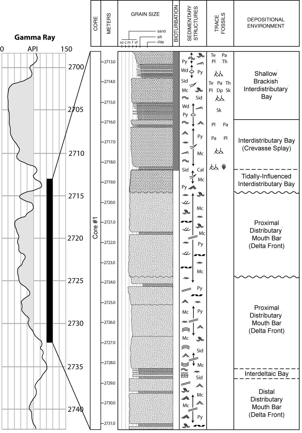 Fig. 4: Detailed core log of the
