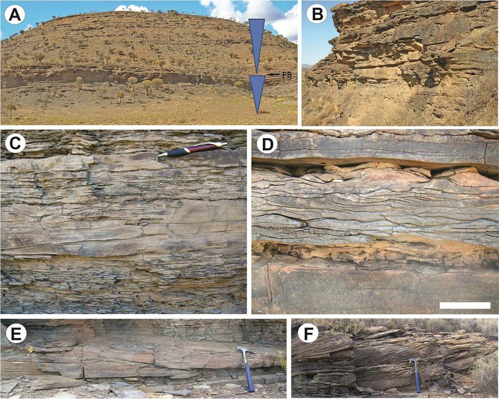 Figure DR3. Sedimentary facies of wave-dominated shallow-marine clastic successions in the Vanrhynsdorp Group. A.