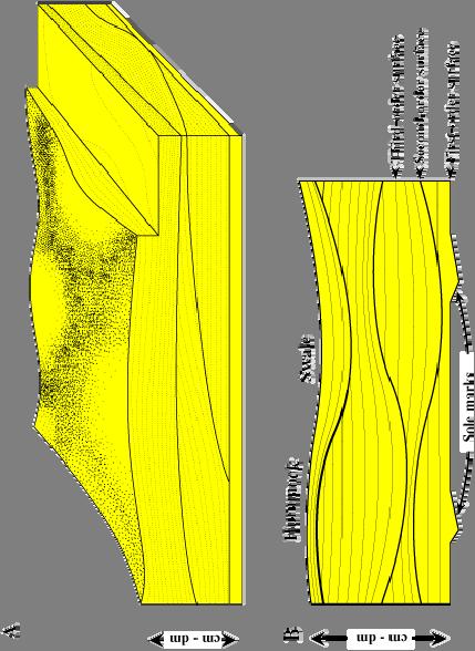 Cross-stratification formed by 3-D ripples includes hummocky crossstratification (HCS) and swaley cross-stratification (SCS) Hummocky cross-stratification is characterized by: 1.