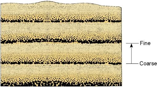 The grain size in a graded bed is coarser at the bottom and finer at the top.