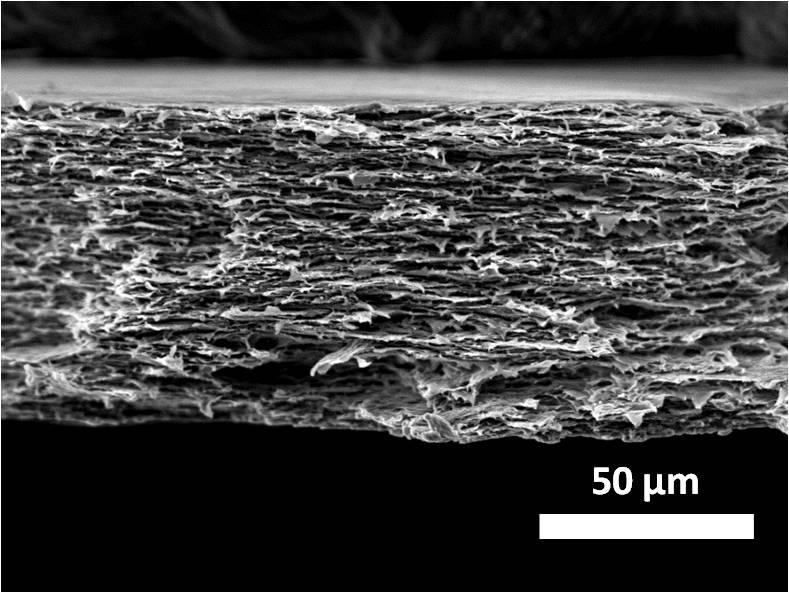 Storage modulus (GPa) Stress (MPa) Intensity Fig.3. SEM image of the layered microstructure of the 5 wt% GO/PVA nanocomposite. Fig.5. Raman spectrum of neat PVA, neat GO and a 1 wt% GO/PVA nanocomposite.