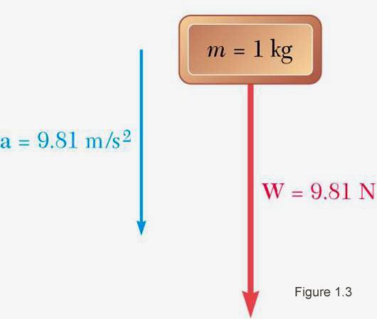 Chapter 1: SI Units Weight Weight of a body: It is the force of gravity exerted on body. Like any other force, should be expressed in Newtons, not in kg. W = mg I.E.