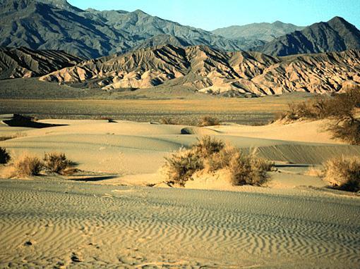 Sand dunes in the