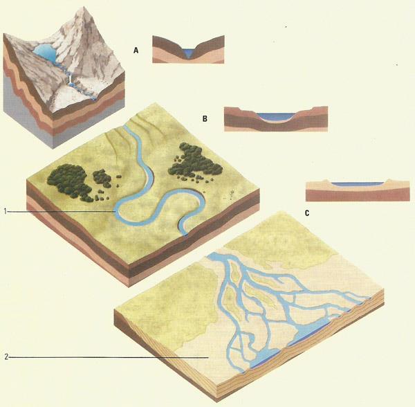 Ages of Rivers (A) Young Rivers - fast-flowing, V-shaped valleys, waterfalls, and rapids (B) Mature rivers Less energy, slower,