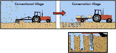 Conservation plowing:
