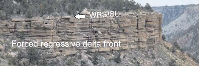 condensed bioclastic deposits - It climbs toward the basin margin - Its formation depends on wave energy, slope