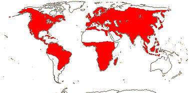 to diverge water lilies and relatives worldwide distribution except arid regions Distribution of