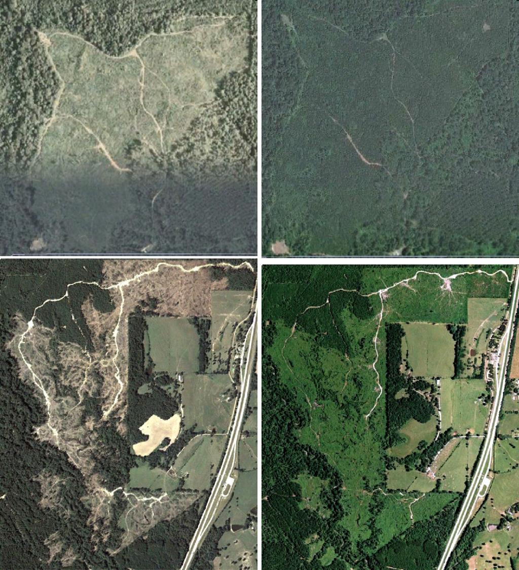 S. Jin et al. / Remote Sensing of Environment 132 (2013) 159 175 169 20060625 20090712 20060625 20090517 Fig. 9. Aerial photos from Google Earth for the two white patches within subset-2.