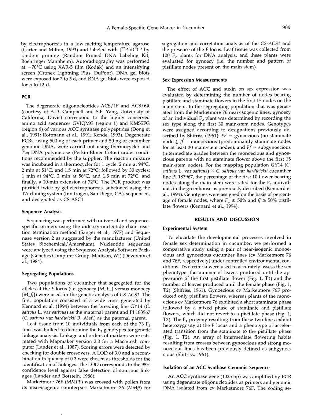 A Female-Specific Gene Marker in Cucumber 989 by electrophoresis in a low-melting-temperature agarose (Carter and Milton, 1993) and labeled with [32P]dCTP by random priming (Random Primed DNA
