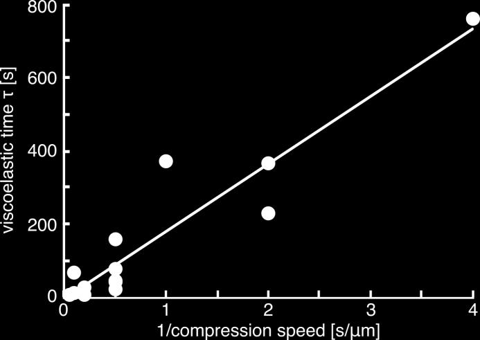 Figure S6: Dependency of the characteristic viscous time on compression speed, taken from the values of Table 1.