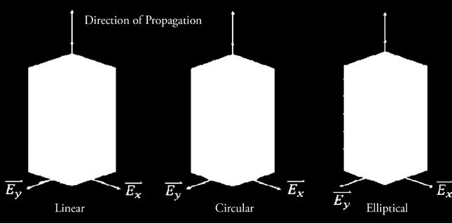 light propagates in such a way that if you were to look at the line traced out by the electric field vector it would appear to form a straight line.