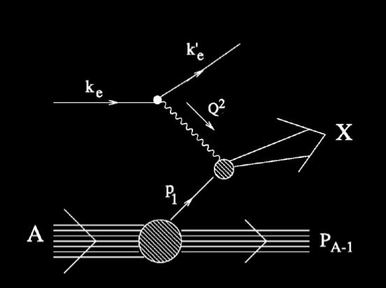 The Spectator Mechanism Spectator recoil nucleon Part of the nuclei that do not interact with the virtual photon and other