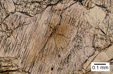 Augite (Clinopyroxene) in "norite" card clinopyroxenite West Point, GA Note the pigeonite twin lamellae in this