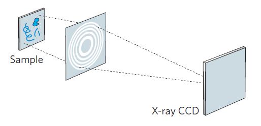 X-ray microscopy methods - Scanning transmission X-ray microscopy (STXM) - Transmission full-field X-ray microscopy (TXM) -