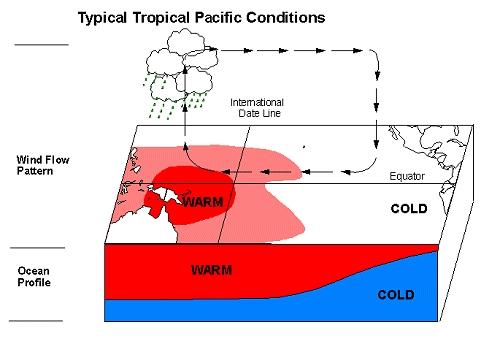 (Peru) strong precipitation in western Pacific (Indonesia) cold ocean: food