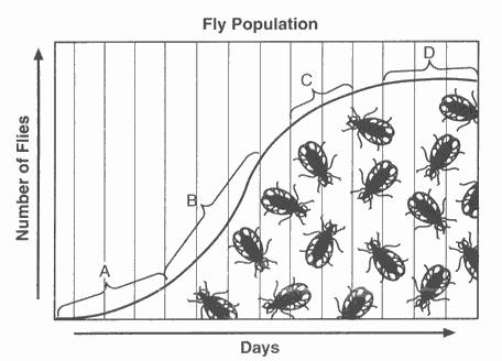 15. The graph below represents the growth of a population of flies in a jar.