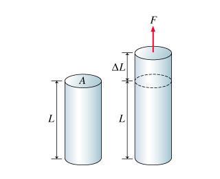 The change in length of a stretched object depends not only on the applied force, but also on its length, cross-sectional area and the material from which it is made.