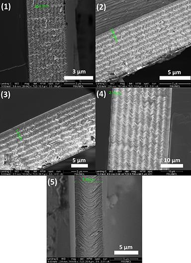Figure 2: Cross-sectional scanning-electron micrographs of all five CSTF samples listed in Table 1.