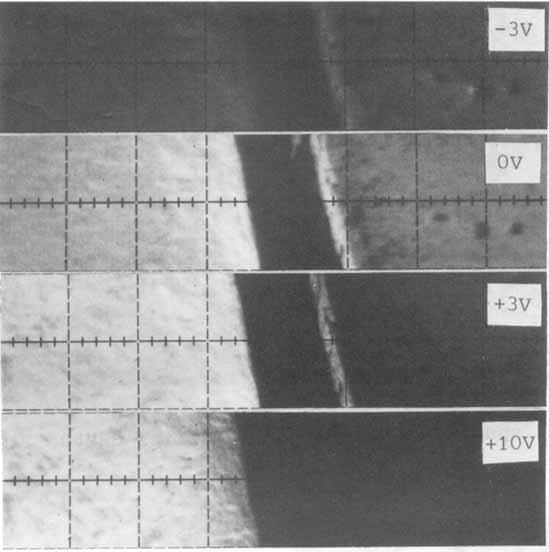 110 S. Y. LAI, D. BRIGGS, A. BROWN AND J. C. VICKERMAN e-r 5kV 100pm MIGlOO Ga' beam Figure 19. Secondary electron images of two tantalum foils by 5 kev Ga+ bombardment showing voltage contrast.