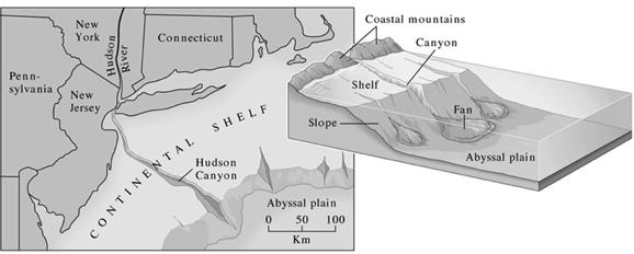 The shelf is exposed during ice ages: Rivers flow out onto exposed shelf and cut canyons through the