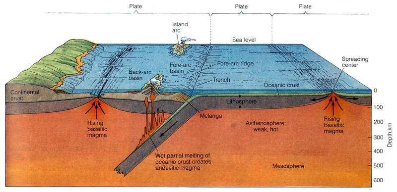 Ocean-Ocean Components (features): Oceanic plate Trench Fore-arc ridge (melange) Fore-arc basin, Island arc