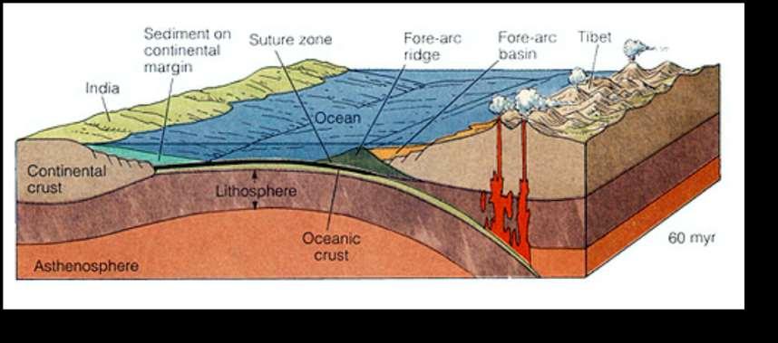 Components Feature Oceanic vs continental crust:: Oceanic plate Trench Fore-arc ridge (melange) Fore-arc