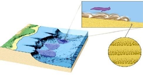 Oceanic Basins 1) Features generated by Seafloor Spreading Mid-Ocean Ridges