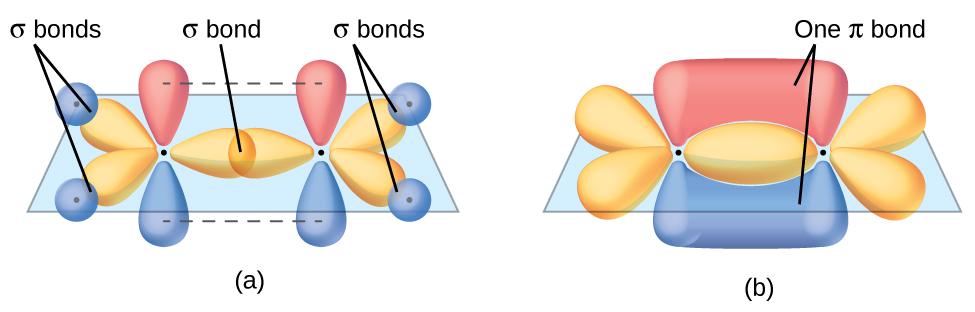 Chapter 8 Advanced Theories of Covalent Bonding 425 Figure 8.22 In ethene, each carbon atom is sp 2 hybridized, and the sp 2 orbitals and the p orbital are singly occupied.