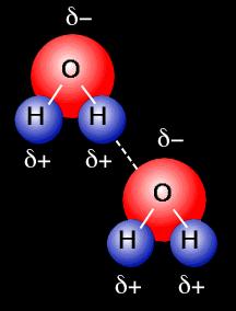 Hydrogen bond Bond between polar molecules (molecules with polar covalent bonds) The charged part of a molecule is attracted to the opposite charged part of