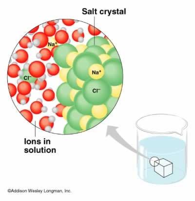 Water as a polar solvent Ionic compounds can be dissolved in water Organic molecules with polar covalent bonds also dissolve in water and are called hydrophilic