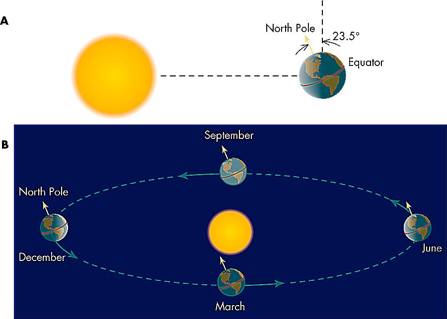 The Seasons Equinox Solstice Solstice Equinox As it orbits the Sun, the