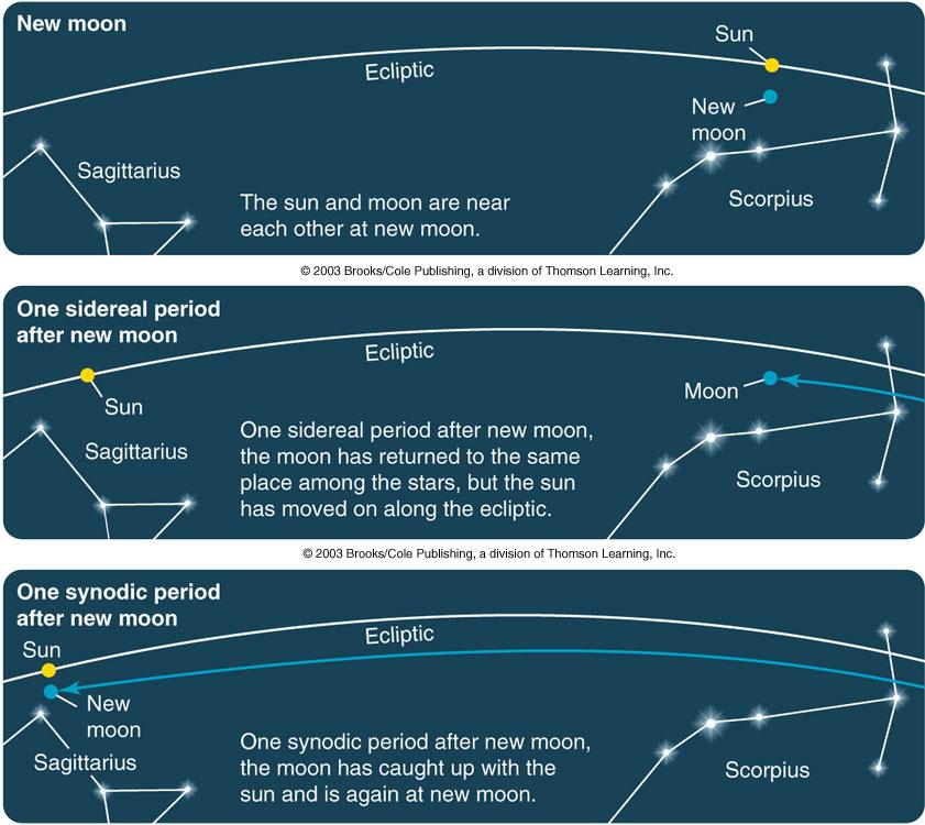 The Moon s Orbit Synodic Period = 29.