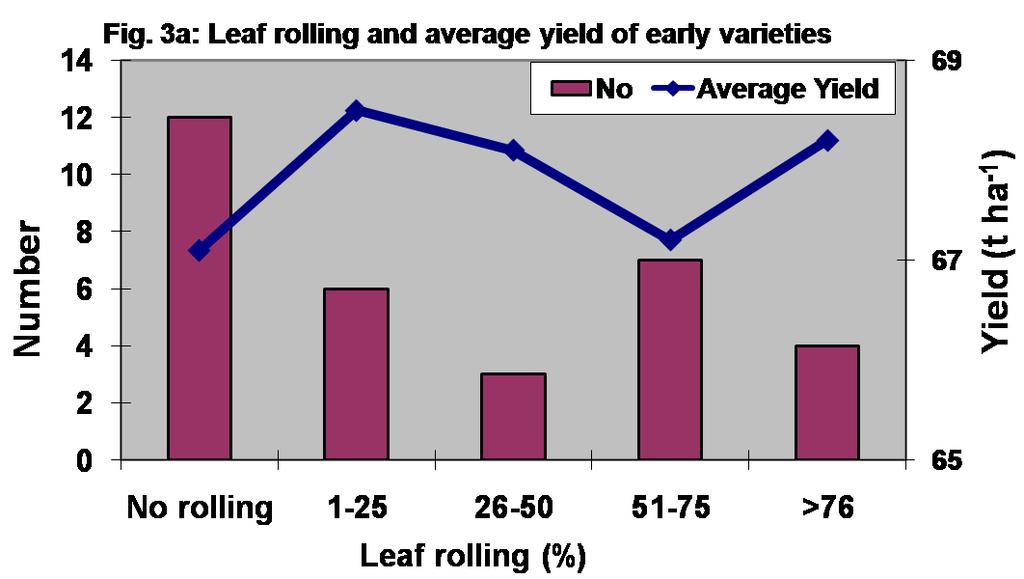 leaf rolling, indicating thereby their inherent