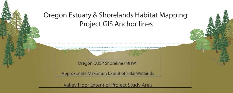 Appendix B: Methods for Generating the Oregon Continually Updated Shoreline Product As shown in the above figure, a shoreline was needed during the CMECS project to bound habitats near the water s