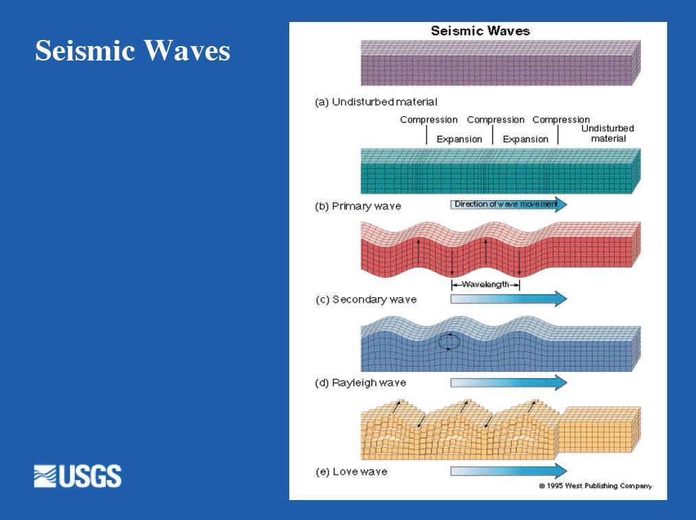 Seismic Waves Every earthquake generates a suite of seismic waves. The waves generated at the hypocenter are primary or p-waves, and secondary or s-waves.