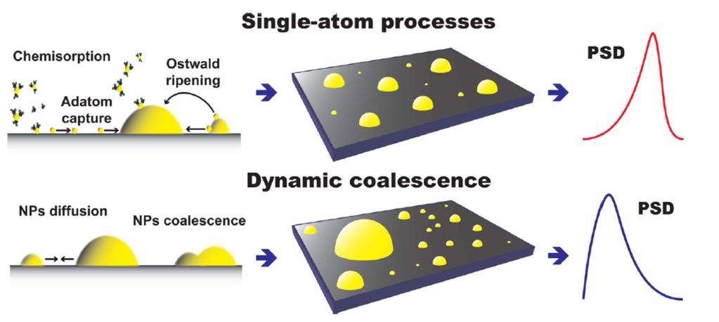 Exception: Dynamic Coalescence Observed