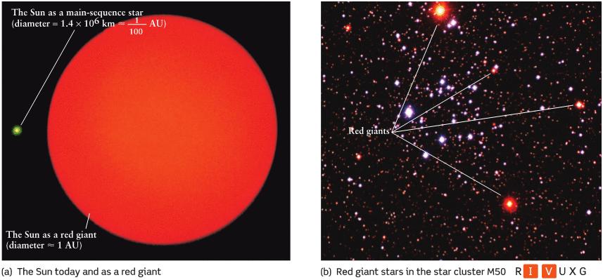 Stellar Evolution: On and Off the Main Sequence When the sun