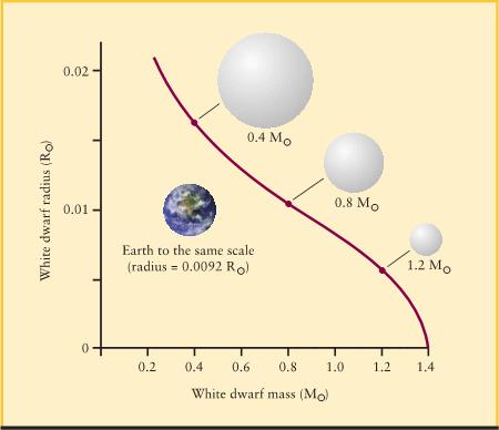 White Dwarfs One unusual property of white dwarfs is the larger the mass the smaller the radius. There is a limit however as to how much mass a white dwarf can have.