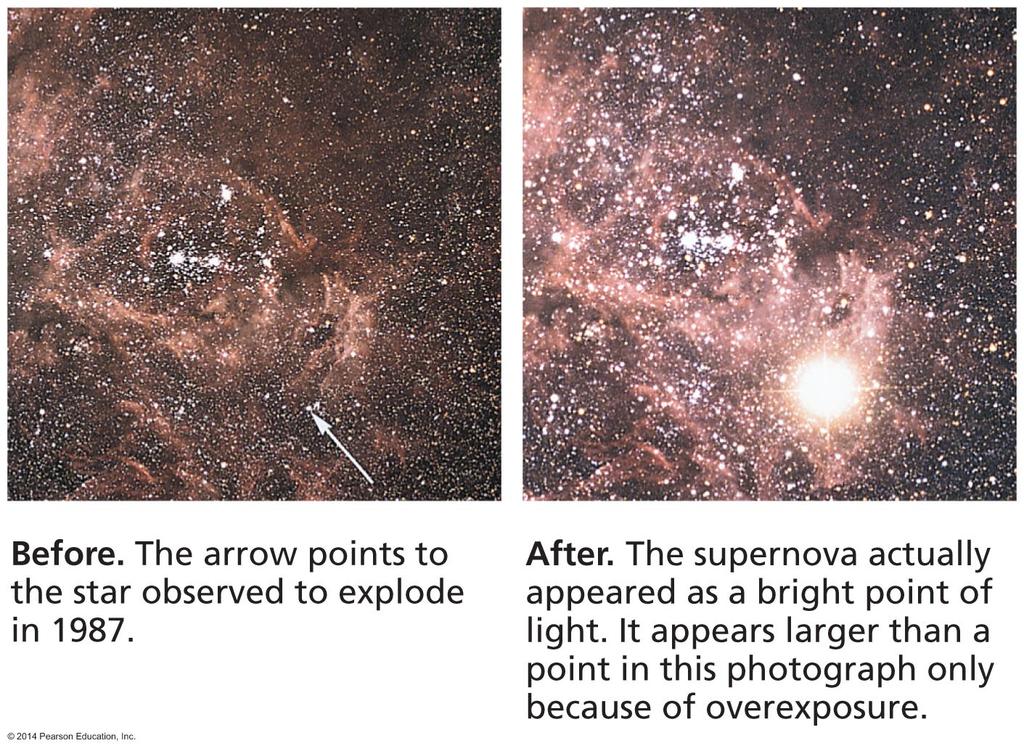 Supernova 1987A The closest supernova in