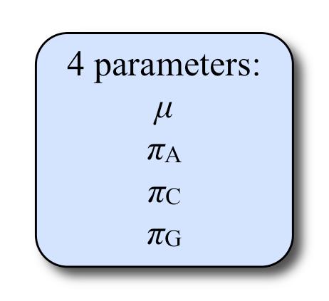 F81 rate matrix A C G T A C G T μ(1 π A ) π C μ π G μ π T μ π A μ μ(1 π C ) π G μ π T μ π A μ π C μ μ(1 π G ) π T μ π A μ π C μ π G μ μ(1 π T )