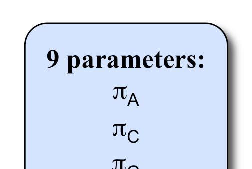A C G T GTR rate matrix A C G T π C aμ π G bμ π T