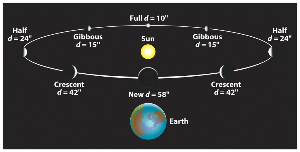 The Phases of Venus Could not be explained with the Geocentric model