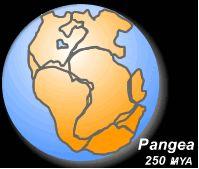 Pangaea Supercontinen t