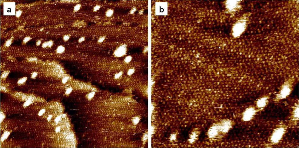 Figure 2. STM images of TAB/H 2 SO 4 (ph5.5) on Au(111), scan area: a) 50 50 nm 2, b) 30 30 nm 2.(E surface = 0.10 V SCE, I t = 0.1 na). Figure 1.