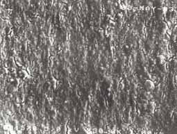 SEM images of the fracture planes of nanometer-sized